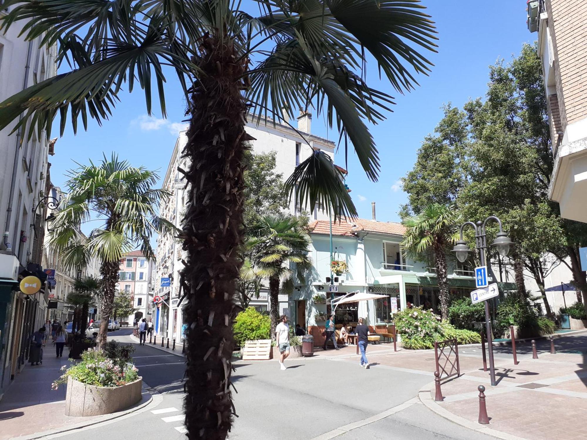 Maison Individuelle Avec Terrasse Nogent Sur Marne Buitenkant foto